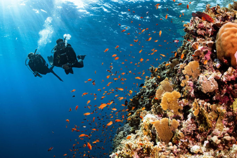 DIVING